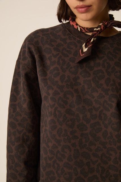 Sweater - Jacinthe - leopard - des petits hauts